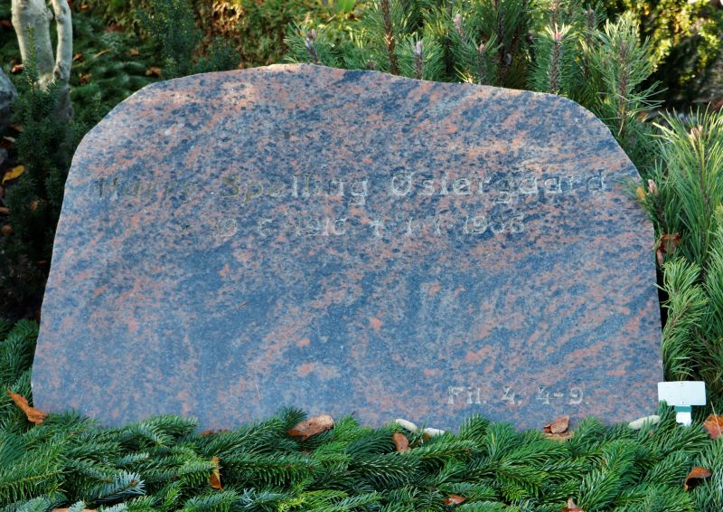 Henry Spelling Oestergaard.JPG